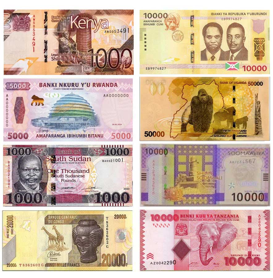 EAC Currencies Illistration